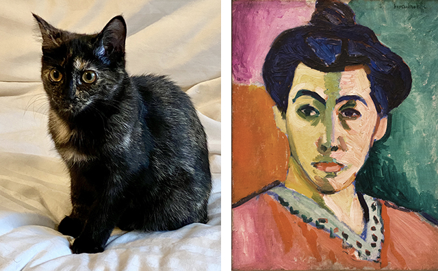 Small dark tortoiseshell cat opposite Matisse's portrait of his wife