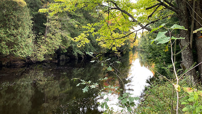 A dark river with the sky and trees reflected in it seen through green tree branches