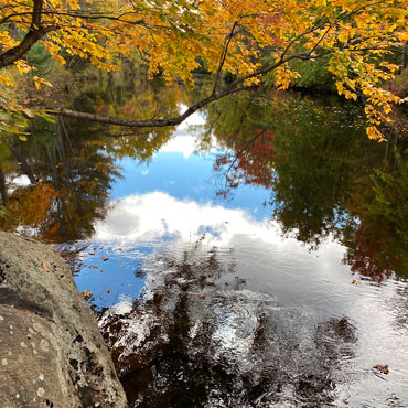 sky and trees reflected in a still river